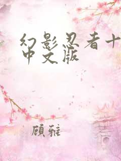 幻影忍者十七季中文版