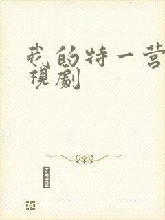 我的特一营 电视剧