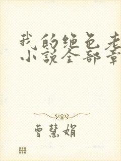 我的绝色老板娘小说全部章节