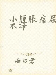 小腹胀痛尿频尿不净