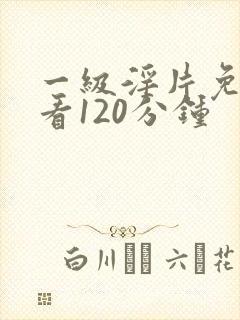 一级淫片免费试看120分钟