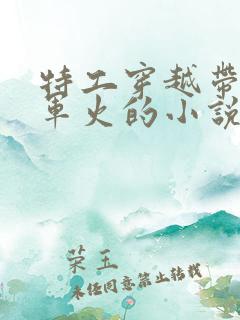 特工穿越带空间军火的小说