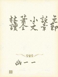 林萧小说免费阅读全文章节