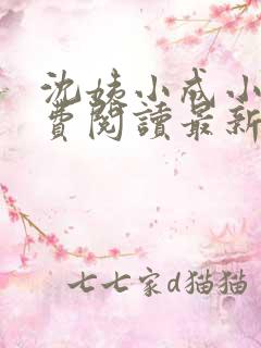 沈姨小成小说免费阅读最新章节更新