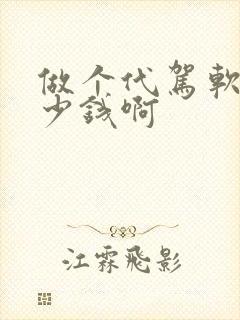 做个代驾软件多少钱啊