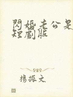 闪婚老公是豪门短剧版