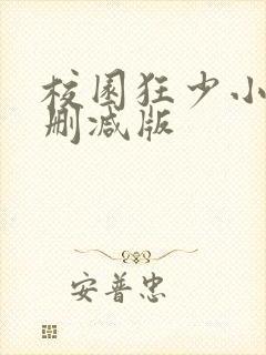 校园狂少小说无删减版