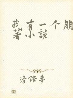 我有一个朋友原著小说