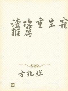 渣攻重生宠受文推荐