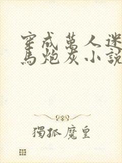 穿成万人迷的竹马炮灰小说免费阅读