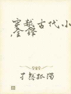 穿越古代小铁匠,金锋