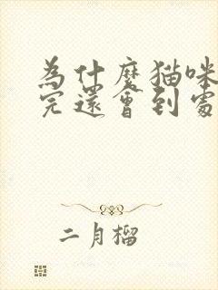 为什么猫咪绝育完还会到处拉尿