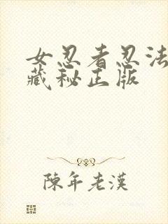 女忍者忍法帖4藏秘正版