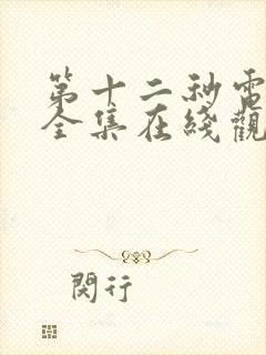 第十二秒电视剧全集在线观看免费