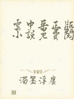 云中岳正版武侠小说免费阅读