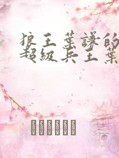 狼王叶谦的小说超级兵王叶谦