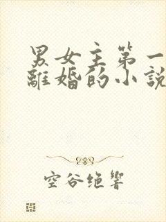 男女主第一章就离婚的小说