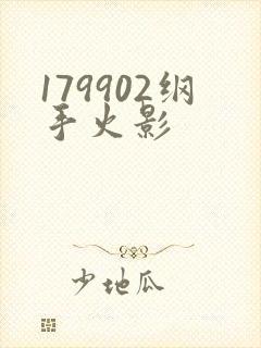 179902纲手火影