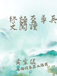 终极至尊兵王全文阅读