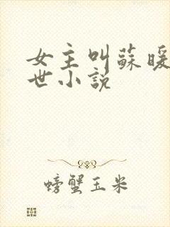 女主叫苏暖的末世小说