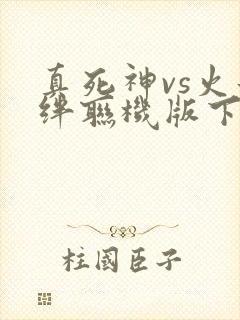 真死神vs火影绊联机版下载