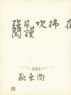 强风吹拂 在线阅读