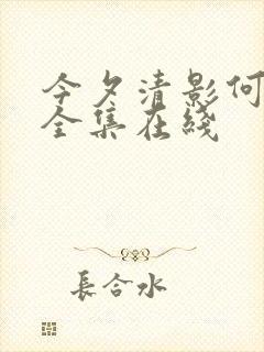 今夕清影何处寻全集在线