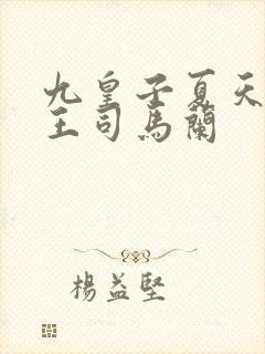 九皇子夏天荒州王司马兰