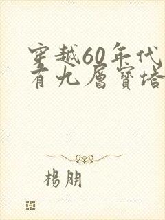 穿越60年代我有九层宝塔空间短剧
