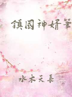 镇国神婿笔趣阁