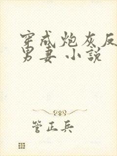 穿成炮灰反派的男妻 小说