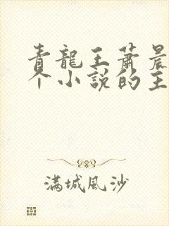 青龙王萧晨是哪个小说的主角