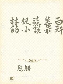 林枫苏慕白穿越的小说最新章节