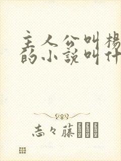 主人公叫杨小天的小说叫什么名字