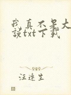 我真不是大佬小说txt下载