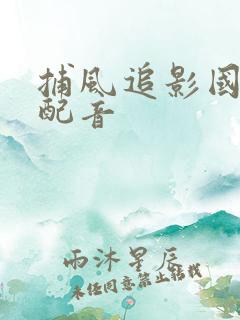 捕风追影国语版配音