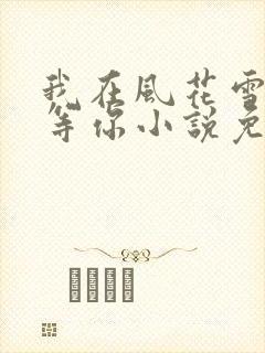 我在风花雪月里等你小说免费阅读