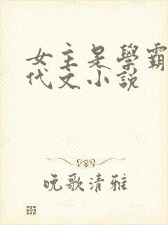 女主是学霸的年代文小说