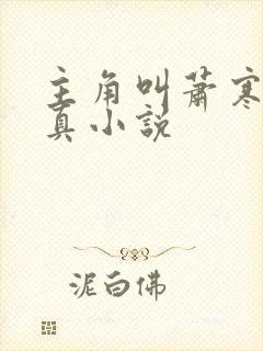 主角叫萧寒的修真小说