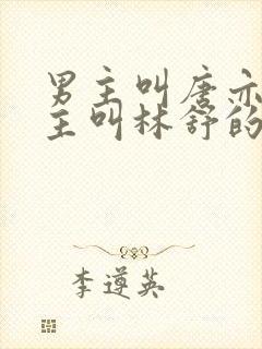 男主叫唐亦琛女主叫林舒的小说