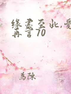 缘尽至此,爱不再言70