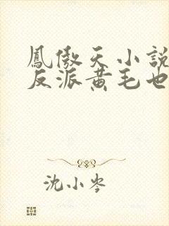 凤傲天小说里的反派黄毛也想幸福