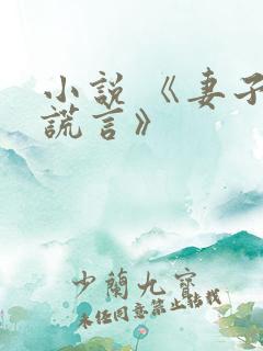 小说 《妻子的谎言》