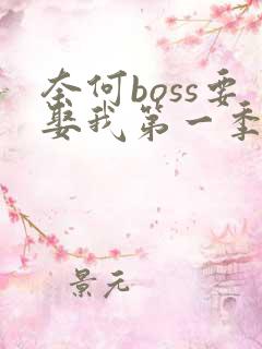 奈何boss要娶我第一季全集在线观看