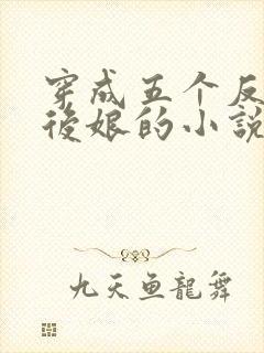 穿成五个反派的后娘的小说