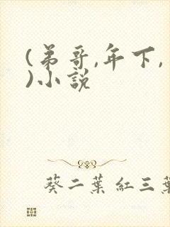 (弟哥,年下,)小说