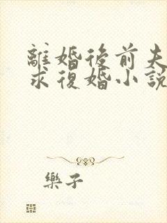 离婚后前夫哭着求复婚小说txt下载