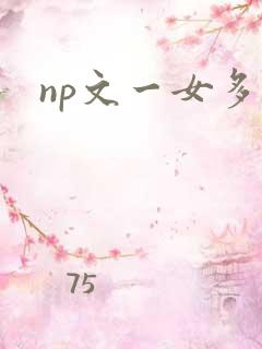 np文一女多男