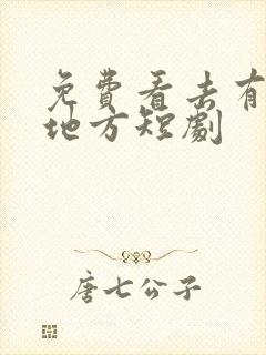 免费看去有你的地方短剧