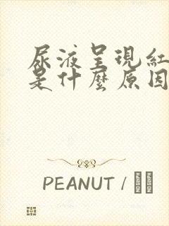 尿液呈现红褐色是什么原因